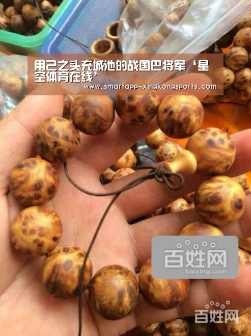 用己之头充城池的战国巴将军‘星空体育在线’(图3)