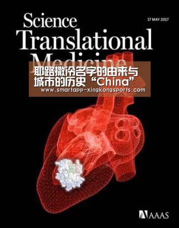 星空体育在线